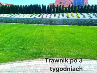 Nowoczesny ogród strukturalny 5